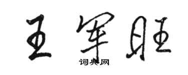 駱恆光王軍旺行書個性簽名怎么寫