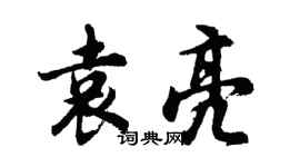 胡問遂袁亮行書個性簽名怎么寫