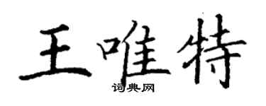 丁謙王唯特楷書個性簽名怎么寫