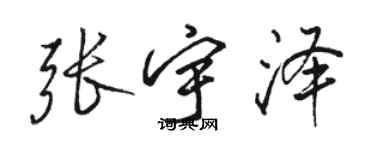 駱恆光張宇澤行書個性簽名怎么寫