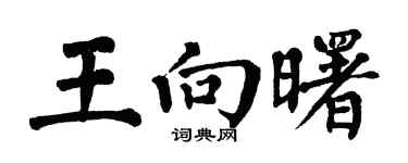翁闓運王向曙楷書個性簽名怎么寫