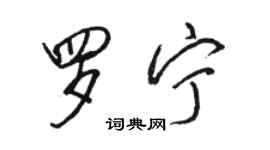 駱恆光羅寧行書個性簽名怎么寫