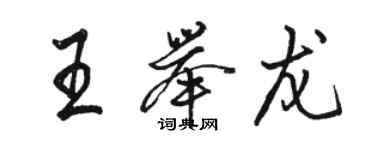 駱恆光王舉龍行書個性簽名怎么寫