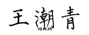 何伯昌王潮青楷書個性簽名怎么寫
