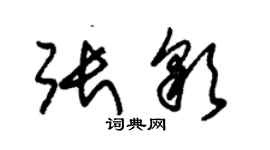 朱錫榮張彩草書個性簽名怎么寫