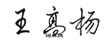 駱恆光王高楊行書個性簽名怎么寫