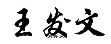 胡問遂王發文行書個性簽名怎么寫