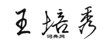 駱恆光王培秀行書個性簽名怎么寫