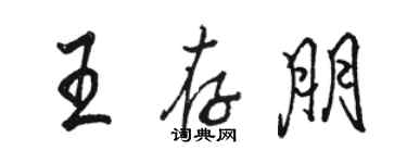 駱恆光王存朋行書個性簽名怎么寫