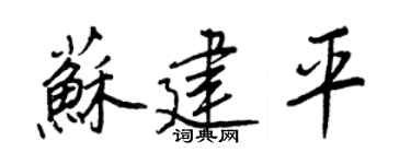 王正良蘇建平行書個性簽名怎么寫