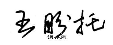 朱錫榮王盼托草書個性簽名怎么寫