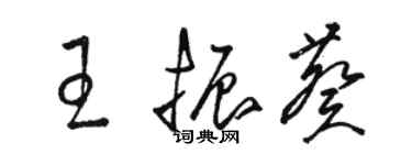 駱恆光王振葵草書個性簽名怎么寫