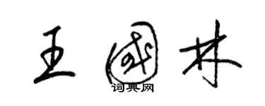 梁錦英王國林草書個性簽名怎么寫