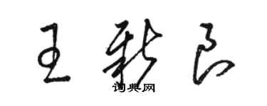 駱恆光王新良草書個性簽名怎么寫