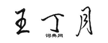 駱恆光王丁月行書個性簽名怎么寫