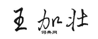 駱恆光王加壯行書個性簽名怎么寫