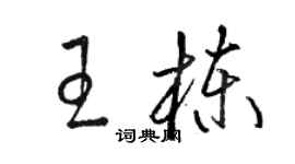 駱恆光王棟草書個性簽名怎么寫