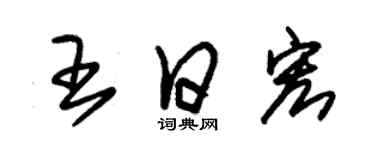 朱錫榮王日宏草書個性簽名怎么寫