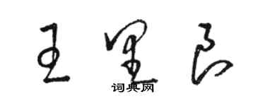 駱恆光王里良草書個性簽名怎么寫