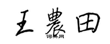 王正良王農田行書個性簽名怎么寫