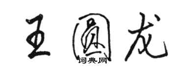 駱恆光王圓龍行書個性簽名怎么寫