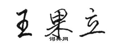 駱恆光王果立行書個性簽名怎么寫