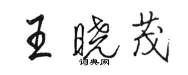 駱恆光王曉茂行書個性簽名怎么寫