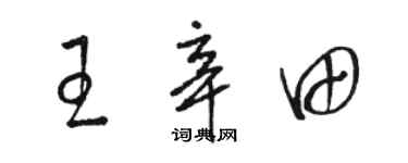 駱恆光王辛田草書個性簽名怎么寫
