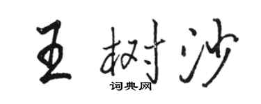 駱恆光王樹沙行書個性簽名怎么寫