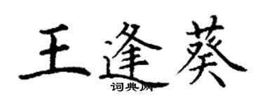 丁謙王逢葵楷書個性簽名怎么寫