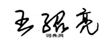 朱錫榮王紹亮草書個性簽名怎么寫