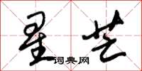朱錫榮星芒草書怎么寫