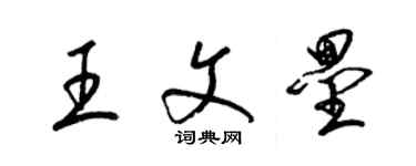 梁錦英王文壘草書個性簽名怎么寫