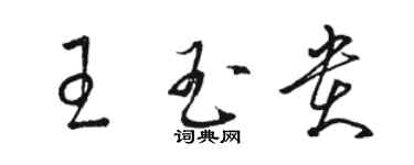 駱恆光王玉貴草書個性簽名怎么寫