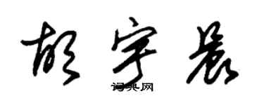 朱錫榮胡宇晨草書個性簽名怎么寫