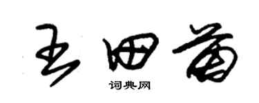 朱錫榮王田苗草書個性簽名怎么寫