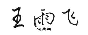 駱恆光王雨飛行書個性簽名怎么寫