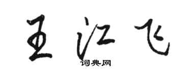 駱恆光王江飛行書個性簽名怎么寫