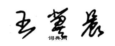 朱錫榮王冀晨草書個性簽名怎么寫