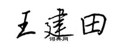 王正良王建田行書個性簽名怎么寫