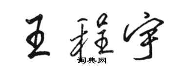 駱恆光王程宇行書個性簽名怎么寫