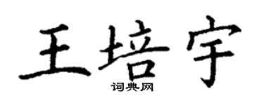丁謙王培宇楷書個性簽名怎么寫