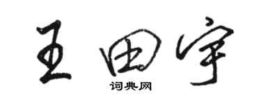 駱恆光王田宇行書個性簽名怎么寫