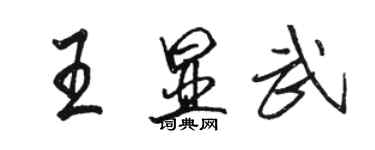 駱恆光王顯武行書個性簽名怎么寫