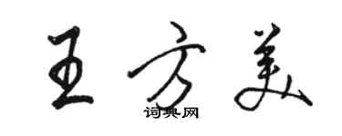 駱恆光王方美行書個性簽名怎么寫