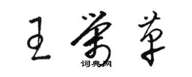 駱恆光王榮革草書個性簽名怎么寫