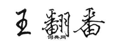 駱恆光王翻番行書個性簽名怎么寫