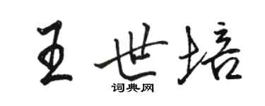 駱恆光王世培行書個性簽名怎么寫