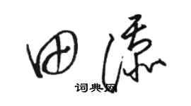 駱恆光田添草書個性簽名怎么寫