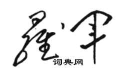 駱恆光羅軍草書個性簽名怎么寫